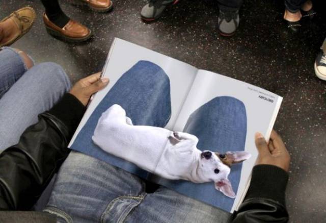 32 Examples Of Clever Advertising Done Right