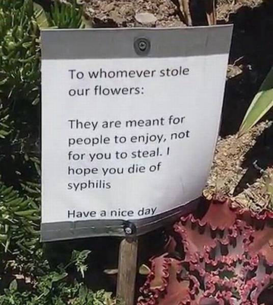 steal flowers meme - To whomever stole our flowers They are meant for people to enjoy, not for you to steal. I hope you die of syphilis Have a nice day