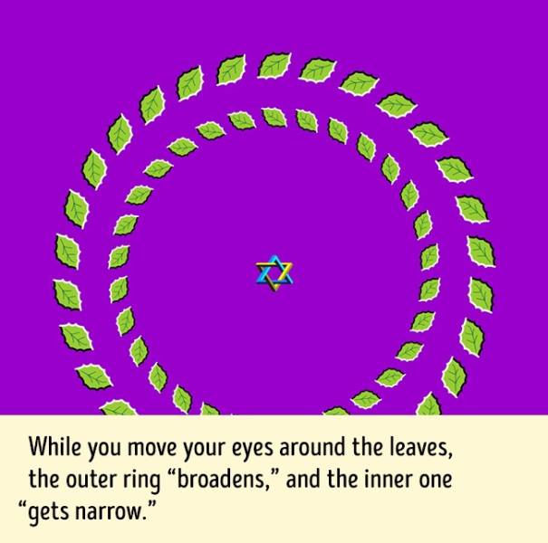 Optical Illusions Designed To Blow Your Mind