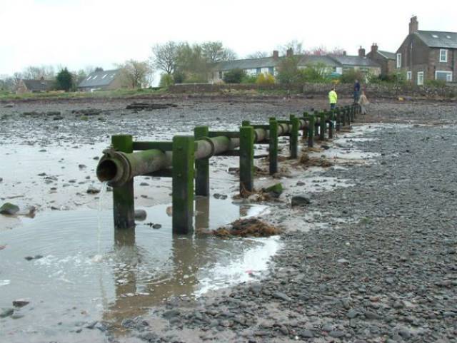 Without power, raw sewage would slowly back up and begin to flood, polluting surrounding lakes and rivers, drastically changing marine life.