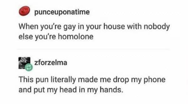 tumblr - BB-8 - punceuponatime When you're gay in your house with nobody else you're homolone Szforzelma Le This pun literally made me drop my phone and put my head in my hands.