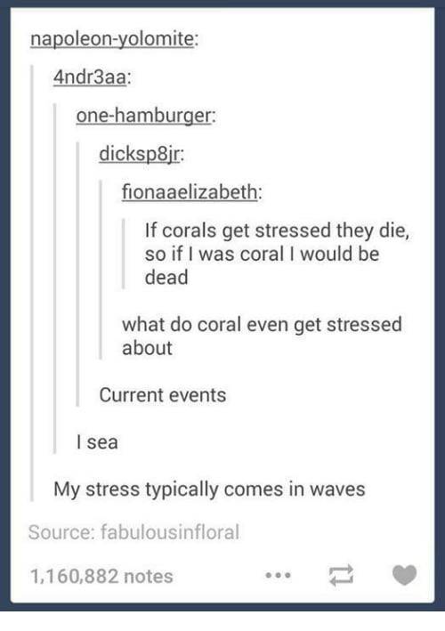 tumblr - bible study for kids - napoleonyolomite 4ndr3aa onehamburger dickspir fionaaelizabeth If corals get stressed they die, so if I was coral I would be dead what do coral even get stressed about Current events I sea My stress typically comes in waves