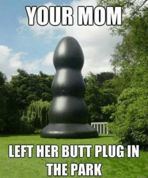 funny your mom jokes - Your Mom Left Her Butt Plug In The Park