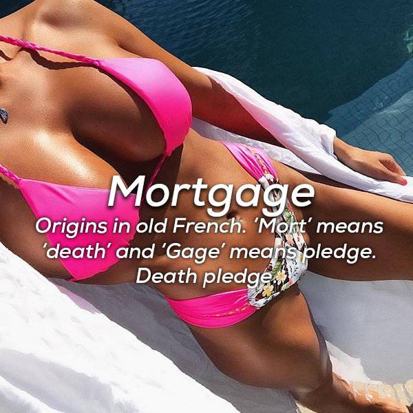 bikini - Mortgage Origins in old French. 'Mont' means 'death' and 'Gage' means pledge. Death pledge.