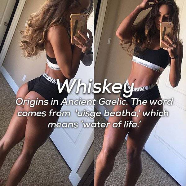 thigh - 'Whiskey Origins in Ancient Gaelic. The word comes from 'uisge beatha,' which means 'water of life.'