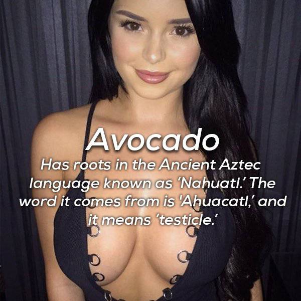 black hair - Avocado Has roots in the Ancient Aztec language known as 'Nahuatl.' The word it comes from is Ahuacatl,' and it means 'testicle.