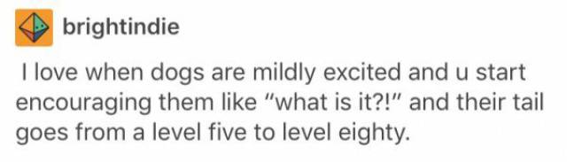 tumblr - brightindie I love when dogs are mildly excited and u start encouraging them "what is it?!" and their tail goes from a level five to level eighty.