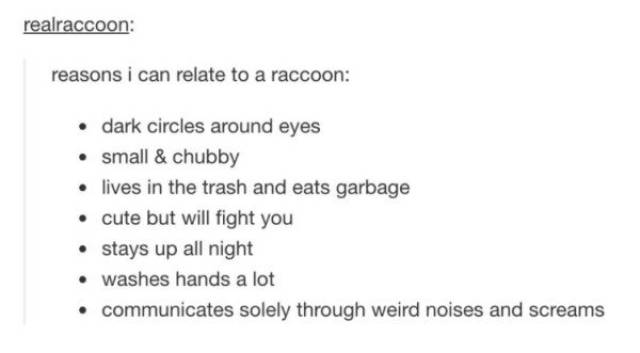 tumblr - document - realraccoon reasons i can relate to a raccoon dark circles around eyes small & chubby lives in the trash and eats garbage cute but will fight you stays up all night washes hands a lot communicates solely through weird noises and scream