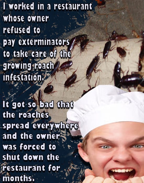 photo caption - I worked in a restaurant whose owner refused to pay exterminators to take care of the growing roach infestation It got so bad that the roaches Espread everywhere and the owner Sa was forced to shut down the restaurant for months