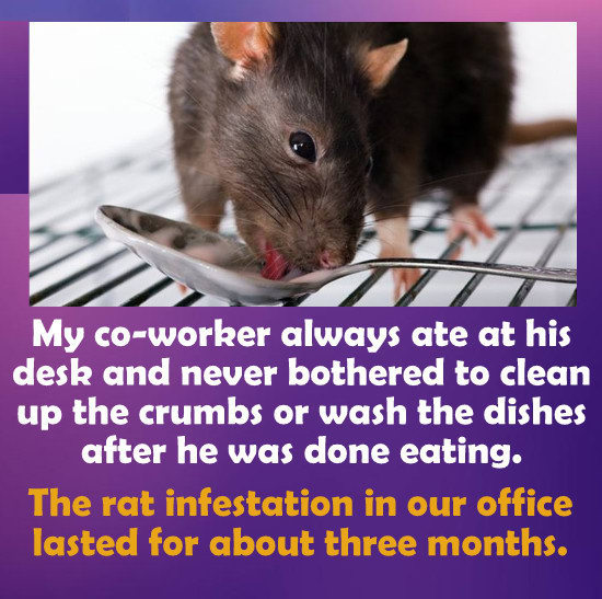 Rat - My coworker always ate at his desk and never bothered to clean up the crumbs or wash the dishes after he was done eating. The rat infestation in our office lasted for about three months.