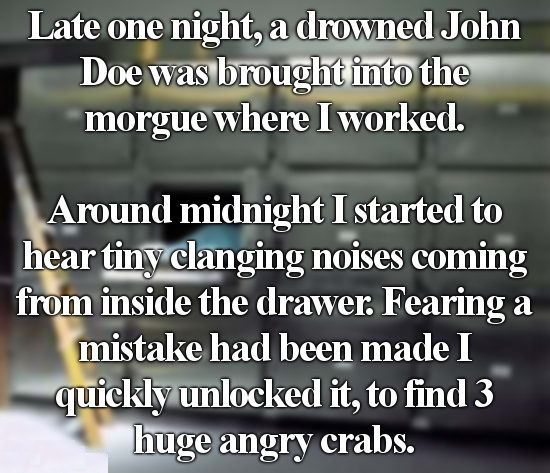 nightmare stories - Late one night, a drowned John Doe was brought into the morgue where I worked. Around midnight I started to hear tiny clanging noises coming from inside the drawer. Fearing a mistake had been made I quickly unlocked it, to find 3 huge 