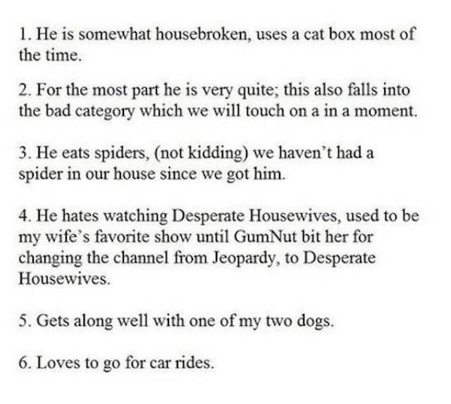 craigslist cringe - 1. He is somewhat housebroken, uses a cat box most of the time. 2. For the most part he is very quite; this also falls into the bad category which we will touch on a in a moment. 3. He eats spiders, not kidding we haven't had a spider 