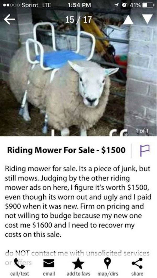 sheep riding lawn mower - ..000 Sprint Lte 1 0 41%D 1517 1 of 1 Riding Mower For Sale $1500 P Riding mower for sale. Its a piece of junk, but still mows. Judging by the other riding mower ads on here, I figure it's worth $1500, even though its worn out an