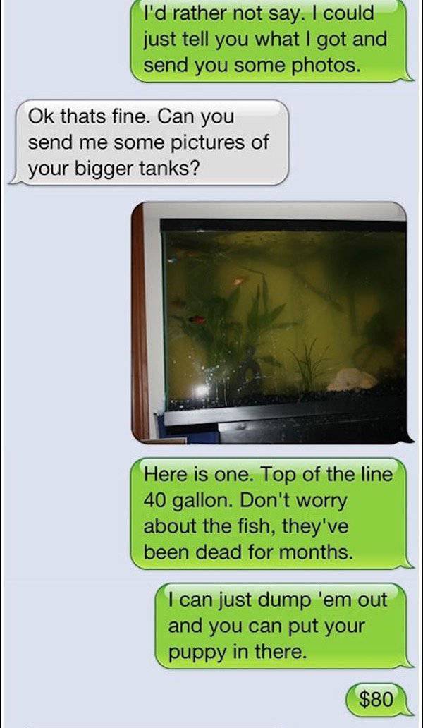grass - I'd rather not say. I could just tell you what I got and send you some photos. Ok thats fine. Can you send me some pictures of your bigger tanks? Here is one. Top of the line 40 gallon. Don't worry about the fish, they've been dead for months. I c