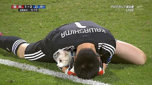 soccer cat photoshop