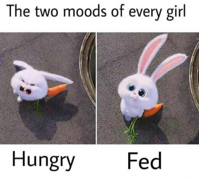two moods of every girl - The two moods of every girl Hungry Fed