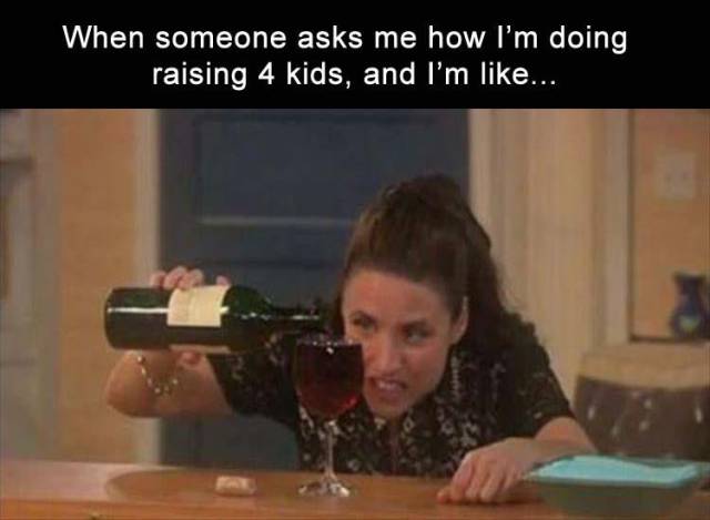 new adventures of old christine wine - When someone asks me how I'm doing raising 4 kids, and I'm ...