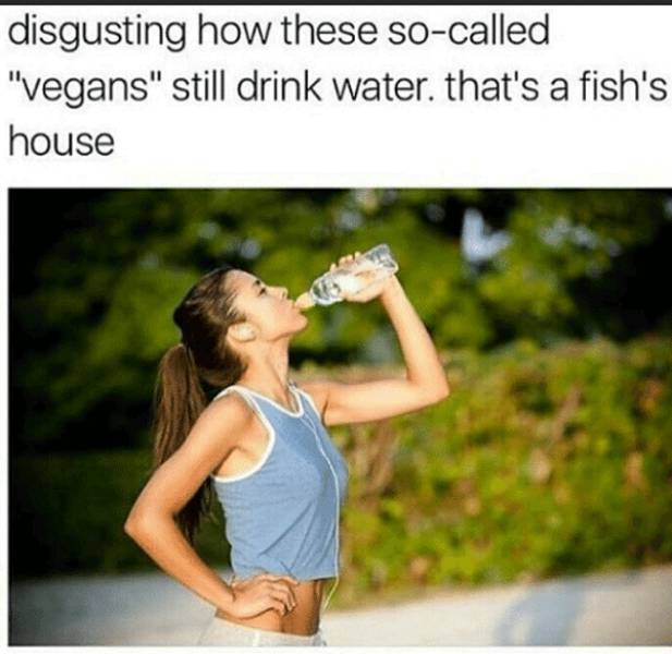 vegan meme - disgusting how these socalled "vegans" still drink water. that's a fish's house