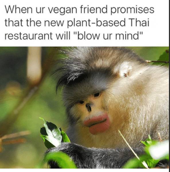 extreme vegan meme - When ur vegan friend promises that the new plantbased Thai restaurant will "blow ur mind"