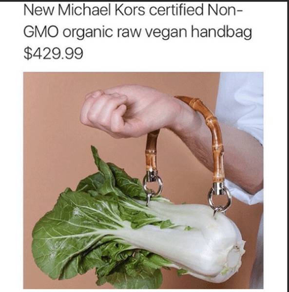 vegan michael kors - New Michael Kors certified Non Gmo organic raw vegan handbag $429.99