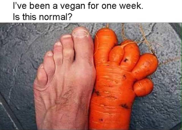 ve been vegan for a week - I've been a vegan for one week. Is this normal?