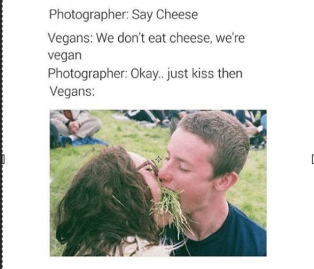 vegans funny - Photographer Say Cheese Vegans We don't eat cheese, we're vegan Photographer Okay.. just kiss then Vegans