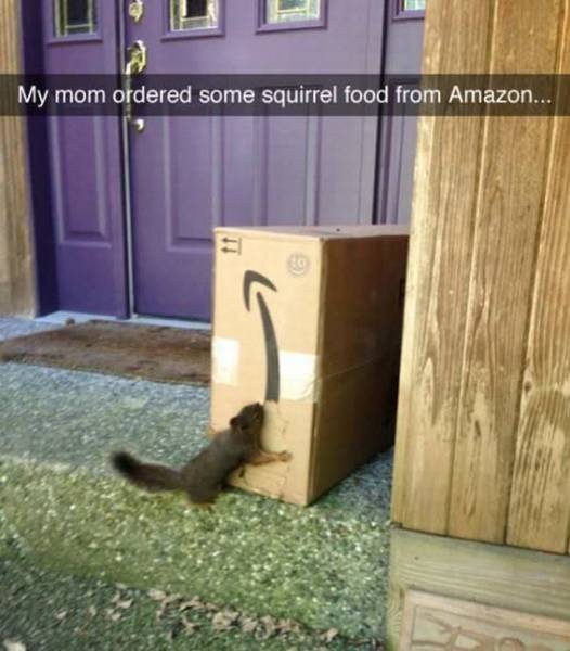 Humour - My mom ordered some squirrel food from Amazon...