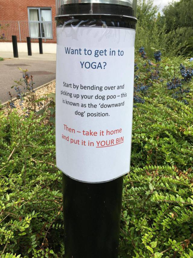 yoga dog poo - Want to get in to Yoga? picking up yo is known as Start by bending over and ing up your dog poo this lown as the 'downward dog' position. nen take it home and put it ! ut it in Your Bin