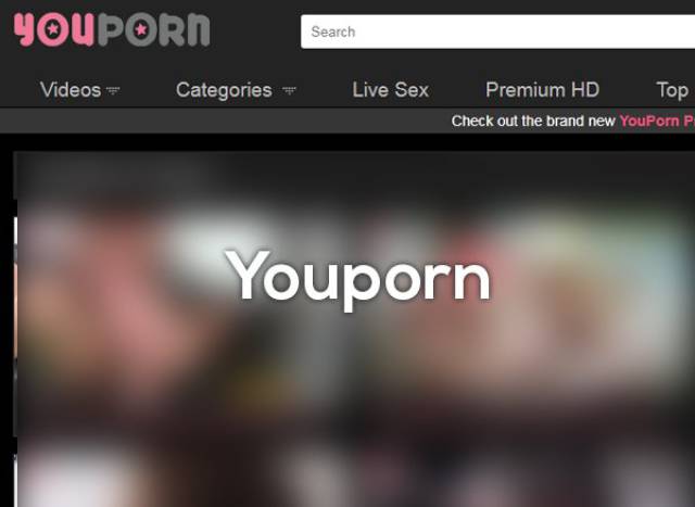 Youporn - Average unique users per day: 930,512; Current value: $ 8,968,198 USD