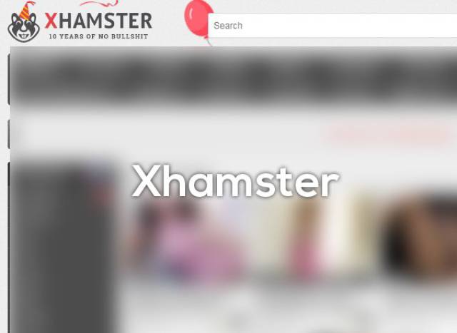 Xhamster - Average unique users per day: 1,502,748; Current value: $ 29,238,938 USD