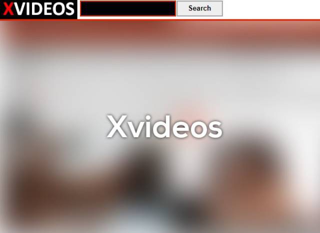 Xvideos - Average unique users per day: 2,022,958; Current value: $ 42,978,574 USD