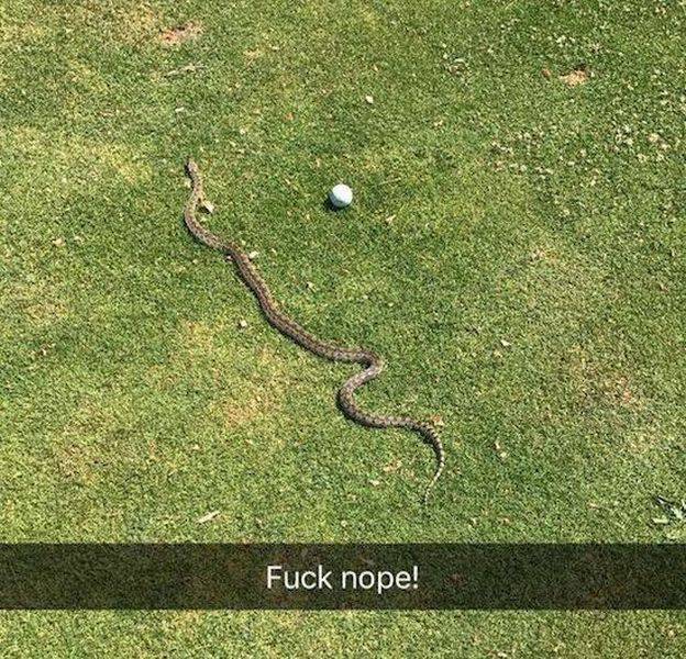 bad luck grass - Fuck nope!