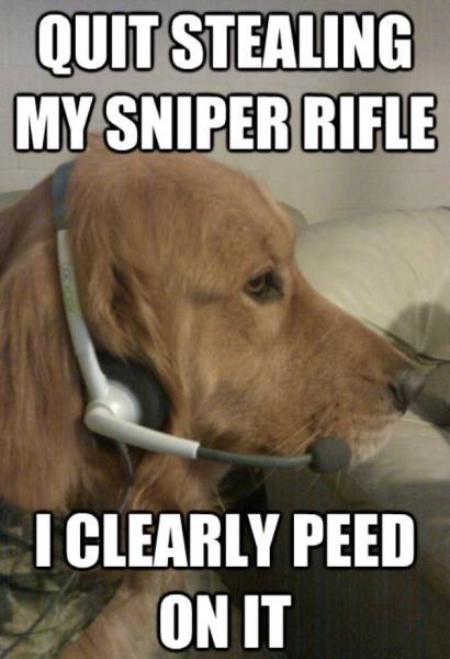 Sniper Memes That Hit The Target