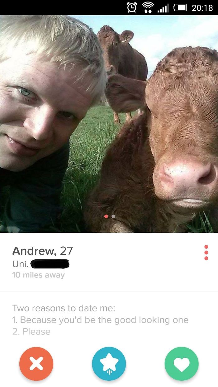 funny tinder profile - @ lo Andrew, 27 Uni. 10 miles away Two reasons to date me 1. Because you'd be the good looking one 2. Please