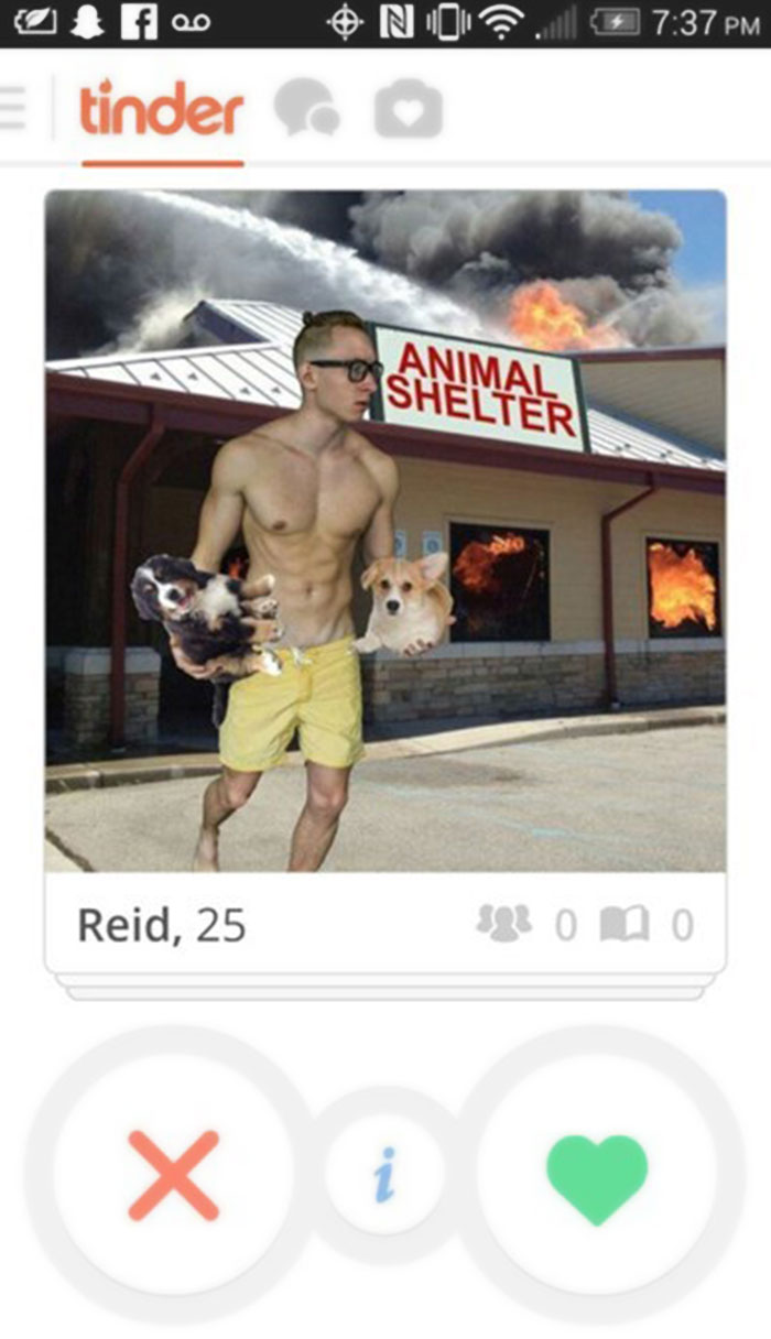 tinder profiles - O No Cifo tinder Animal Shelter Reid, 25 323 0 0