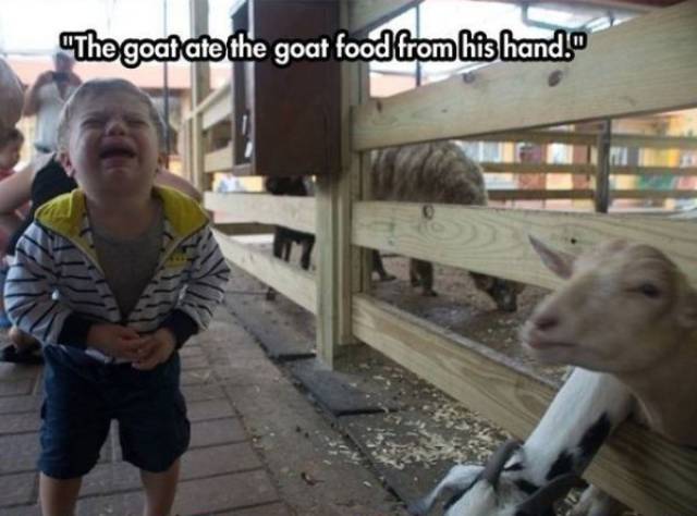 Pics & Memes Revealing The Savageness That Is Toddlers