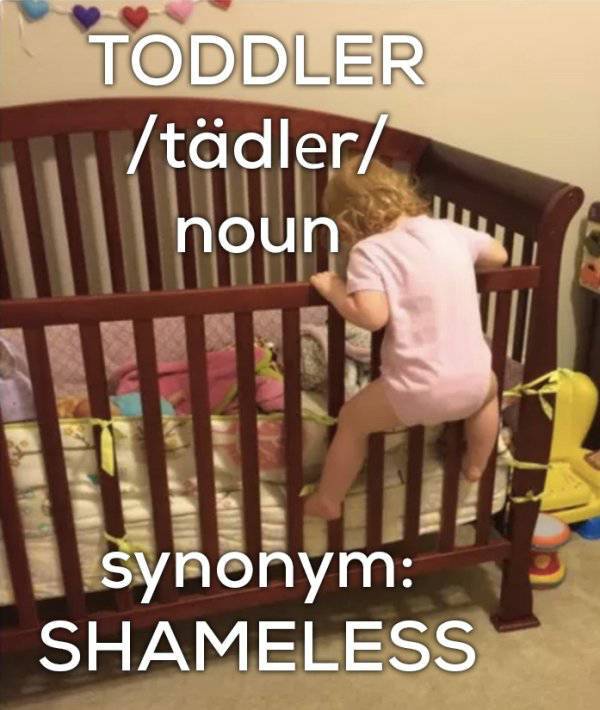 Pics & Memes Revealing The Savageness That Is Toddlers