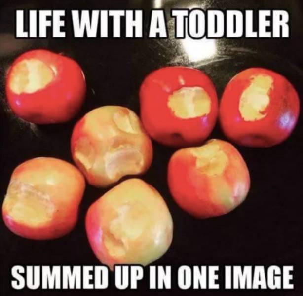 Pics & Memes Revealing The Savageness That Is Toddlers