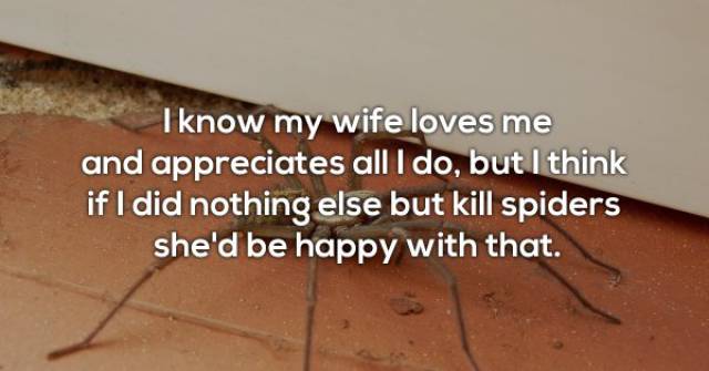 floor - I know my wife loves me and appreciates all I do, but I think if I did nothing else but kill spiders she'd be happy with that.