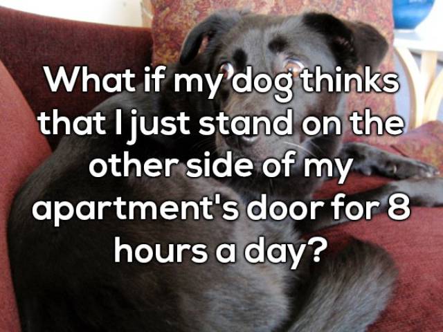 photo caption - What if my dog thinks that I just stand on the other side of my apartment's door for 8 hours a day?