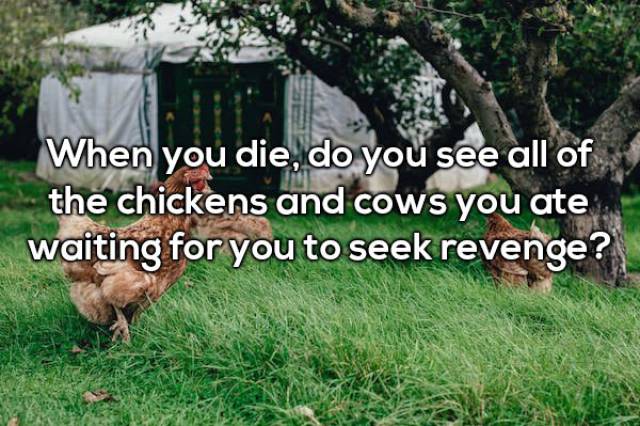 würzjoch - When you die, do you see all of the chickens and cows you ate waiting for you to seek revenge?