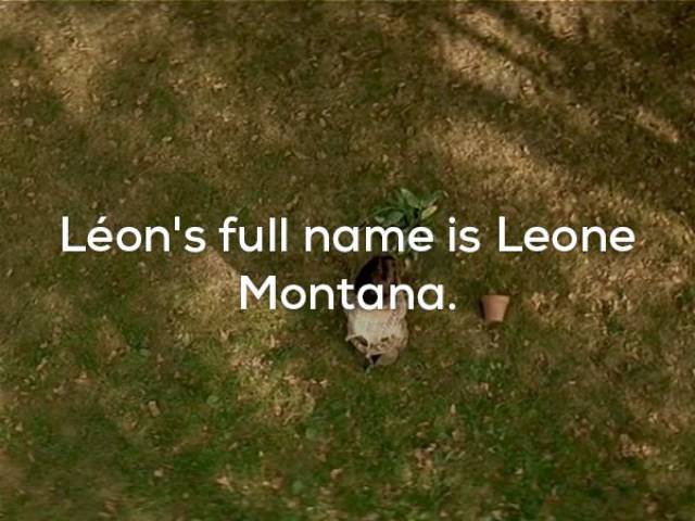 Epic Facts About "Léon: The Professional"