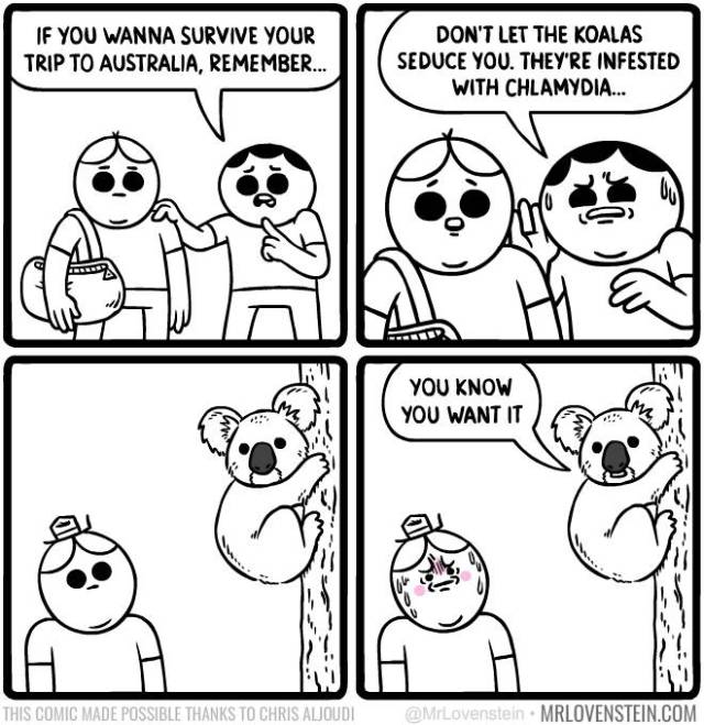 australia comic - If You Wanna Survive Your Trip To Australia, Remember... Don'T Let The Koalas Seduce You. They'Re Infested With Chlamydia... 19 You Know You Want It This Comic Made Possible Thanks To Chris Aljoudi Mrlovenstein.Com