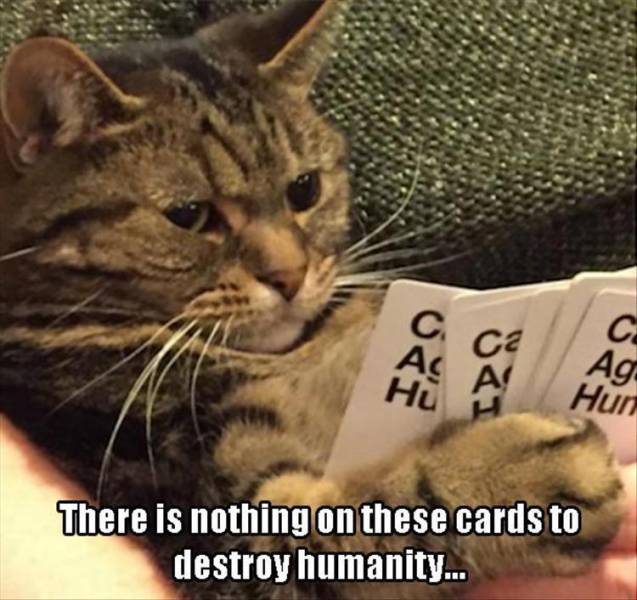 cat does not approve - C. A Ag Hun There is nothing on these cards to destroy humanity...