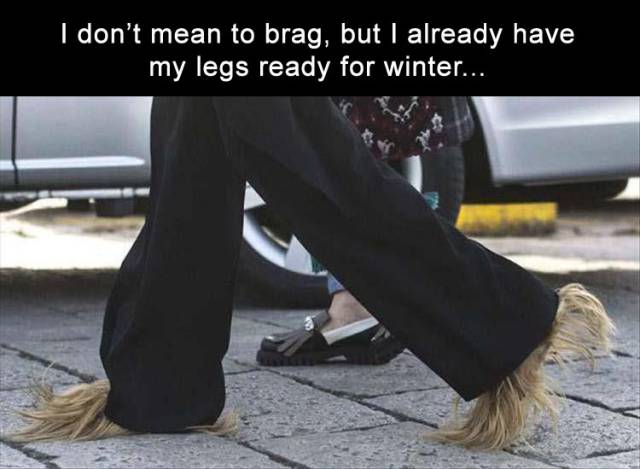 shoe - I don't mean to brag, but I already have my legs ready for winter...