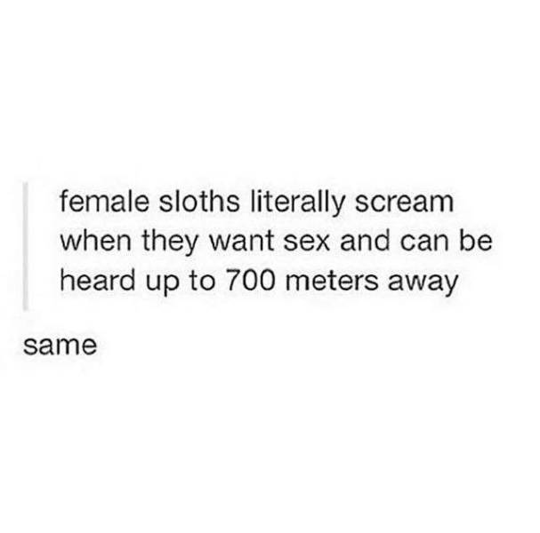 soul mate quotes - female sloths literally scream when they want sex and can be heard up to 700 meters away same
