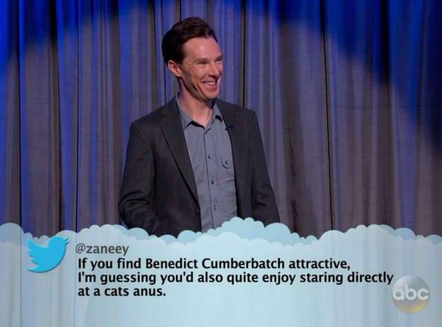 benedict cumberbatch mean tweets - If you find Benedict Cumberbatch attractive, I'm guessing you'd also quite enjoy staring directly at a cats anus. 60C
