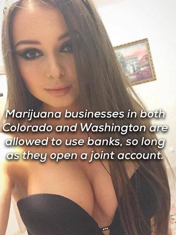selfie - Marijuana businesses in both Colorado and Washington are allowed to use banks, so long as they open a joint account.