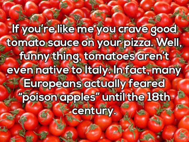 20 Random Interesting Facts About Food