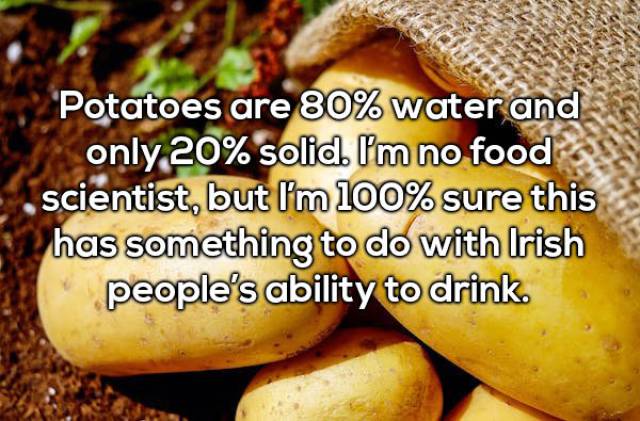 20 Random Interesting Facts About Food